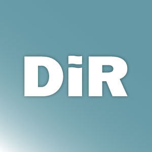 logo DiR Palau-solità i Plegamans