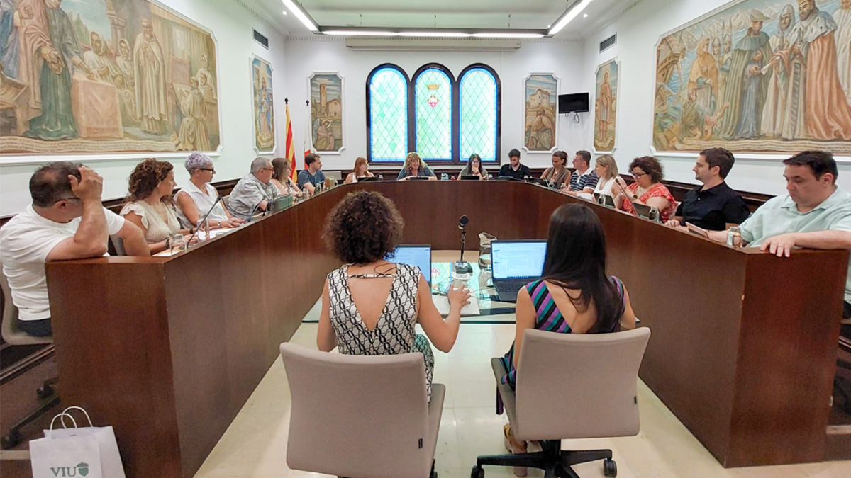 273-resum-del-ple-ordinari-de-juliol-1722756451