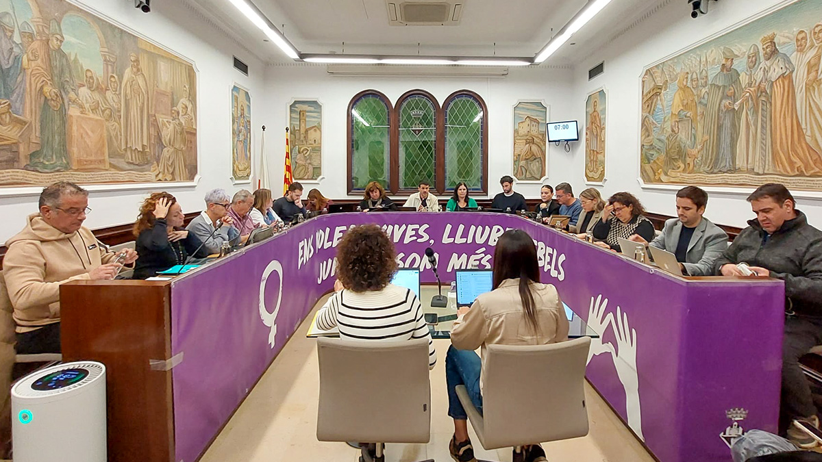 276-resum-del-ple-ordinari-de-novembre-el-pressupost-per-al-2025-1733630513