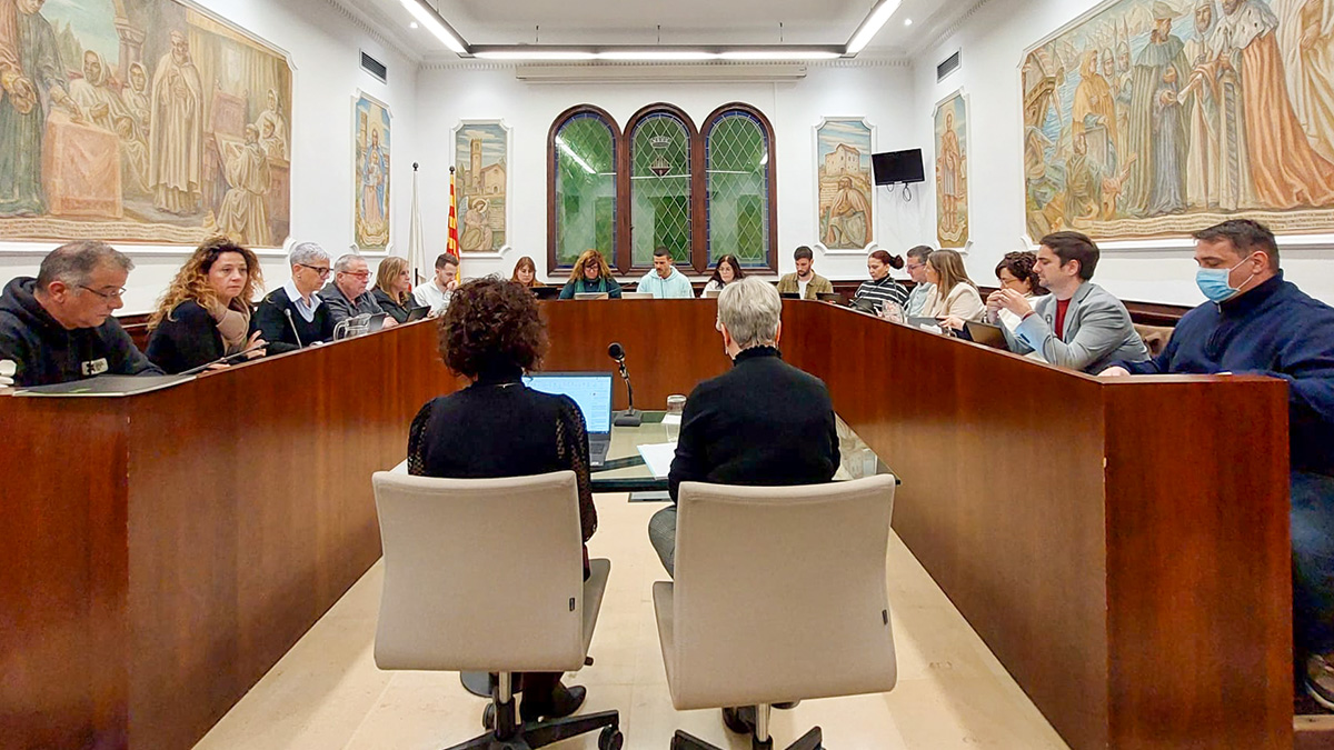 278-resum-del-ple-ordinari-de-gener-1738471090