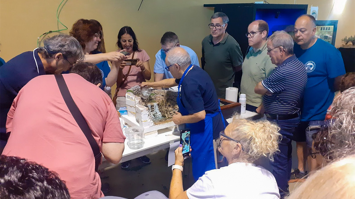 282-activitats-de-l-associacio-pessebrista-juny-1749664776