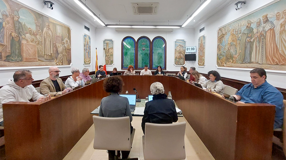 291-resum-del-ple-ordinari-de-marc-deficits-urbanistics-i-registre-de-naixements-1775370375