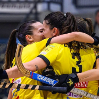 Bona feina del Generali HC Palau S F