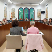 Resum del Ple ordinari de març: diverses mocions