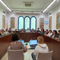 Resum del Ple ordinari d'abril: més mocions