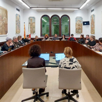 Resum del Ple ordinari de gener: violència a les aules i Rodalies