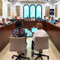 Resum del Ple ordinari d'abril: civisme i llengua