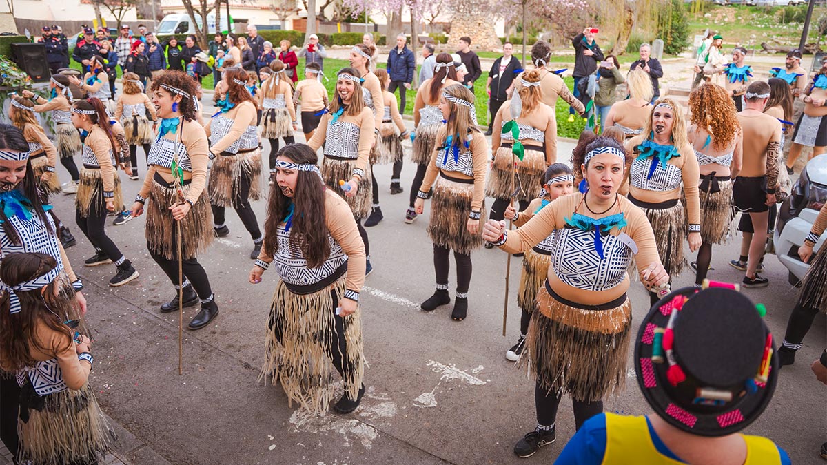 <i class='fas fa-caret-right fa-lg' ></i> Carnestoltes 2025 | Aj PsiP ©M Font