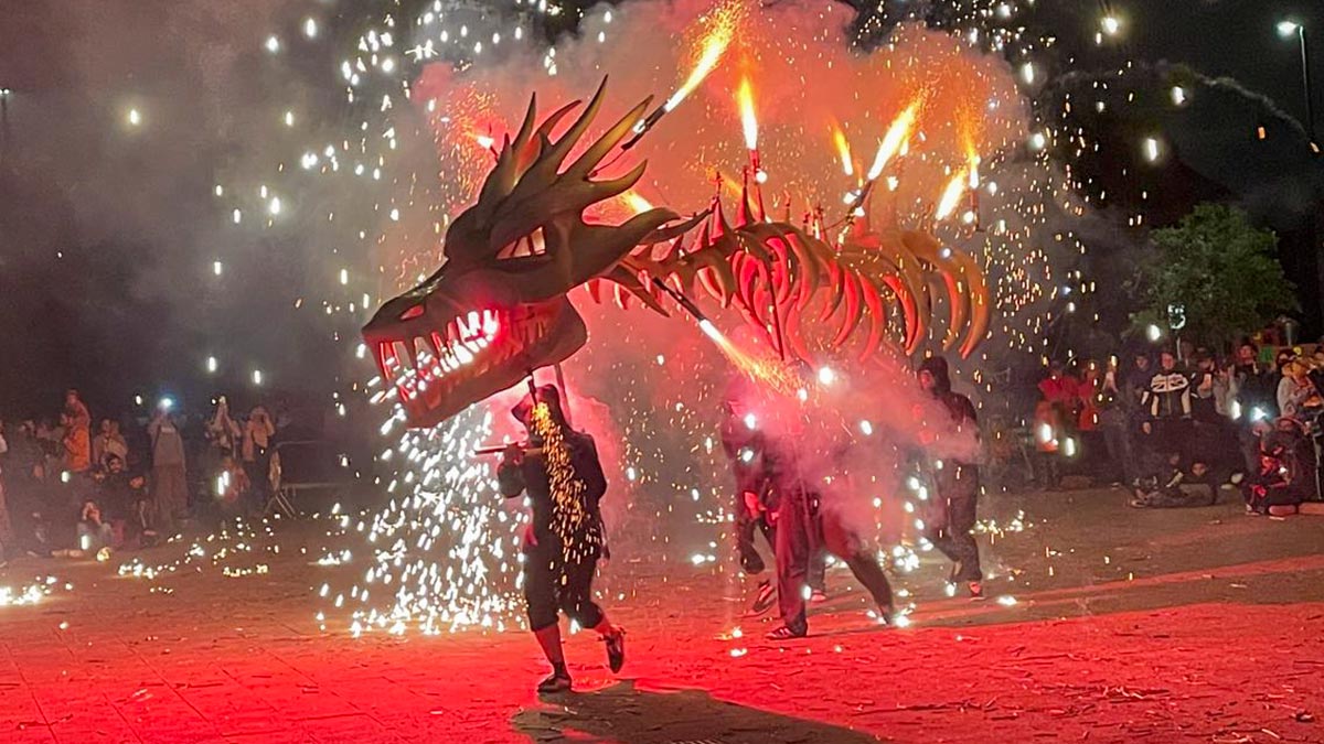 <i class='fas fa-caret-right fa-lg' ></i> Mercat medieval:edició 2025