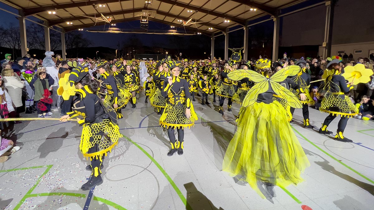 <i class='fas fa-caret-right fa-lg' ></i>Carnestoltes 2026