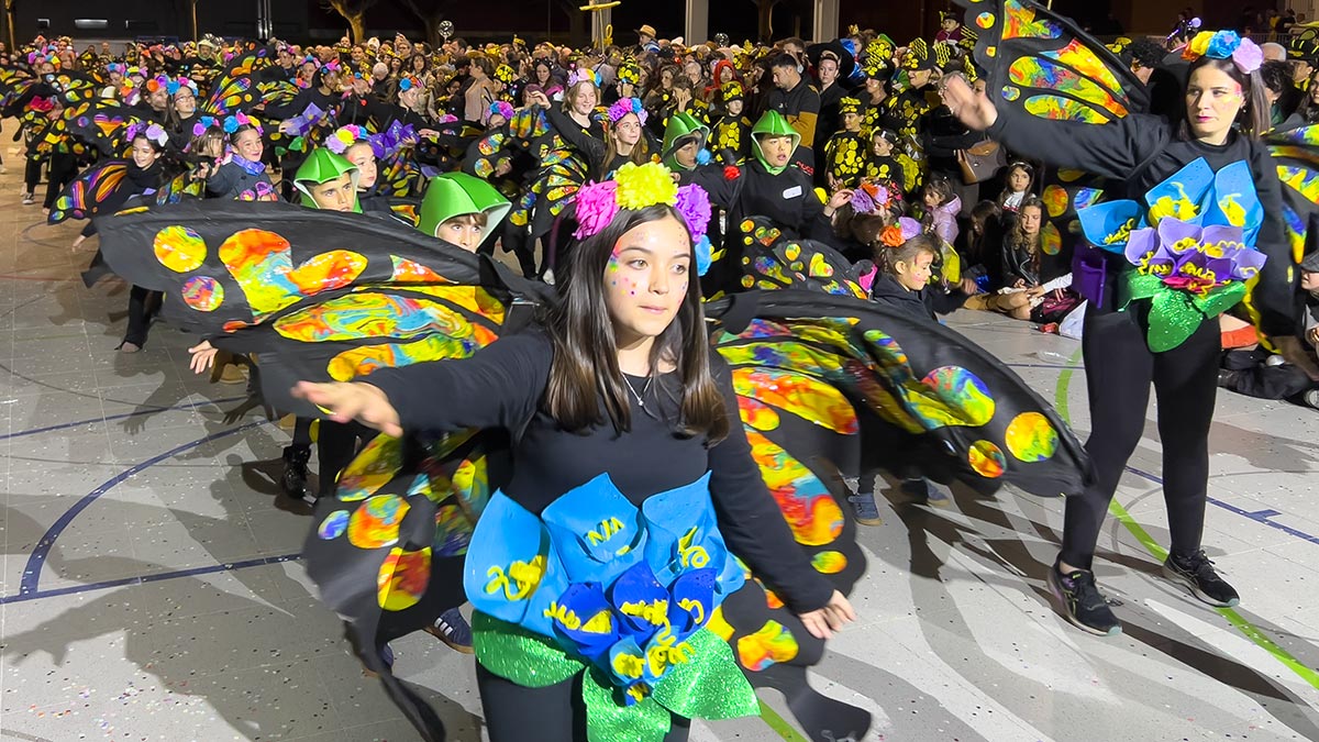 <i class='fas fa-caret-right fa-lg' ></i>Carnestoltes 2026