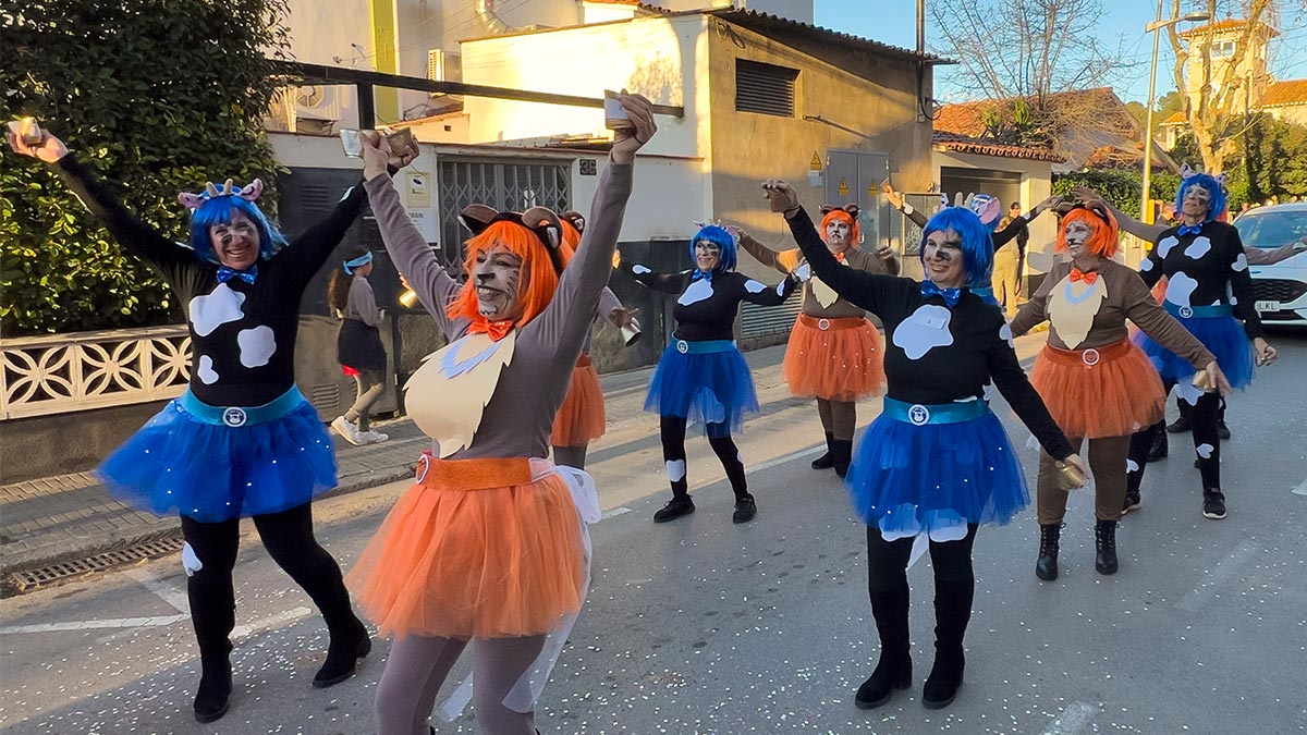 <i class='fas fa-caret-right fa-lg' ></i>Carnestoltes 2026