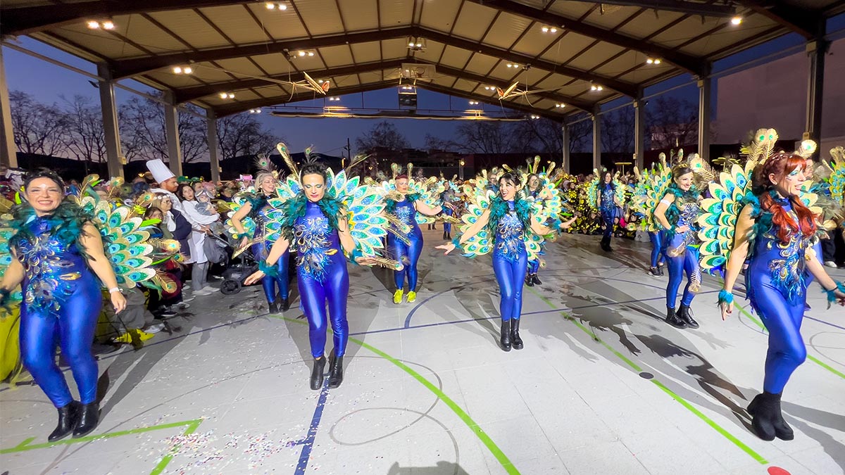 <i class='fas fa-caret-right fa-lg' ></i>Carnestoltes 2026